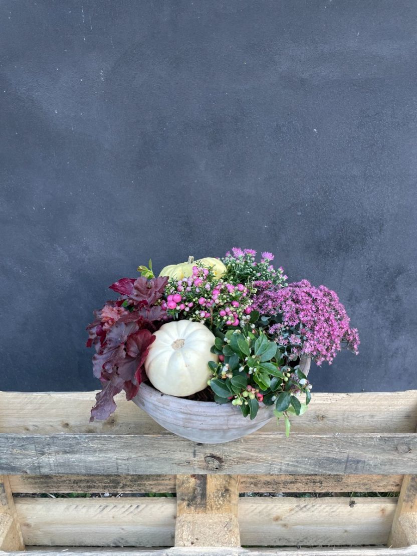 Hyggelig efterårsdekoration med græskar