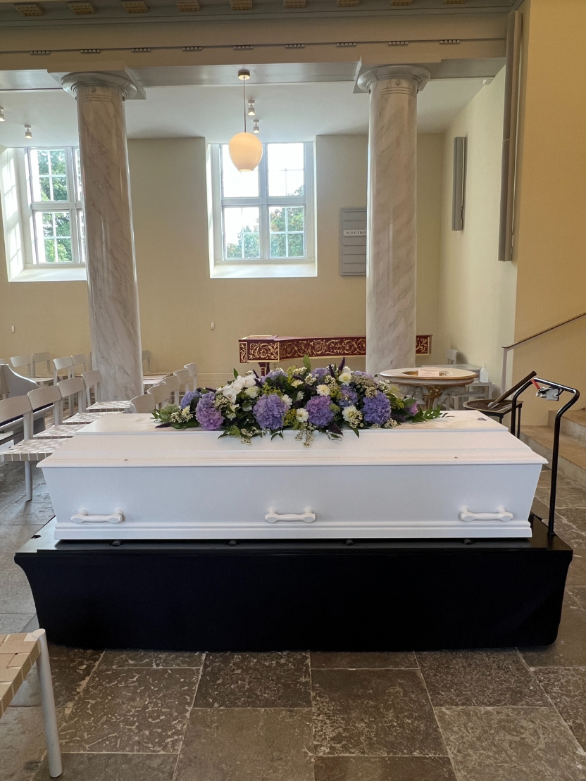 Kistepynt - hortensia (Lille) - Samme dags levering - Holder længe